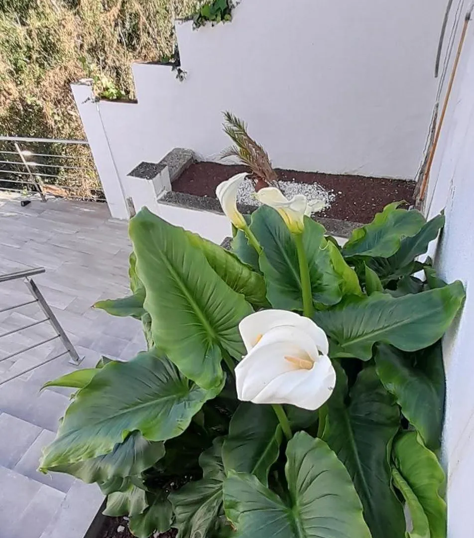 Villa Avril Piscina Privada Y Amplias Terrazas Olivella 0*,  Spanien