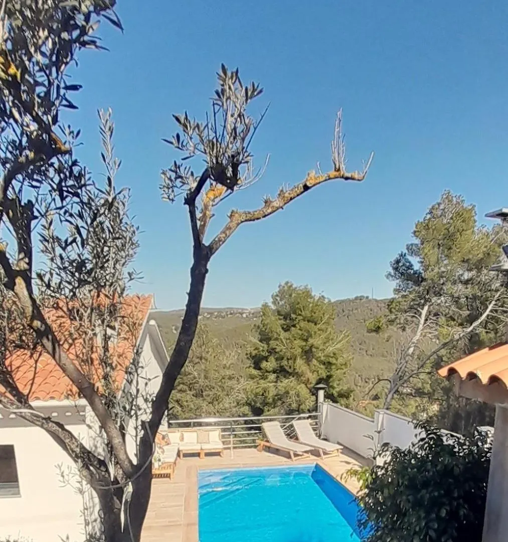 Villa Avril Piscina Privada Y Amplias Terrazas Olivella